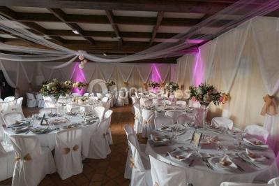 Champ de lotus en fleurs avec des feuilles vertes, des bourgeons et un étang en arrière-plan, entouré d'arbres.