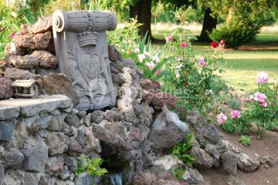 Champ de lotus en fleurs avec des feuilles vertes, des bourgeons et un étang en arrière-plan, entouré d'arbres.