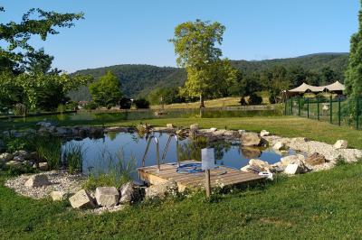 Champ de lotus en fleurs avec des feuilles vertes, des bourgeons et un étang en arrière-plan, entouré d'arbres.