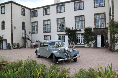 Champ de lotus en fleurs avec des feuilles vertes, des bourgeons et un étang en arrière-plan, entouré d'arbres.