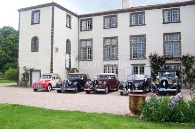 Champ de lotus en fleurs avec des feuilles vertes, des bourgeons et un étang en arrière-plan, entouré d'arbres.