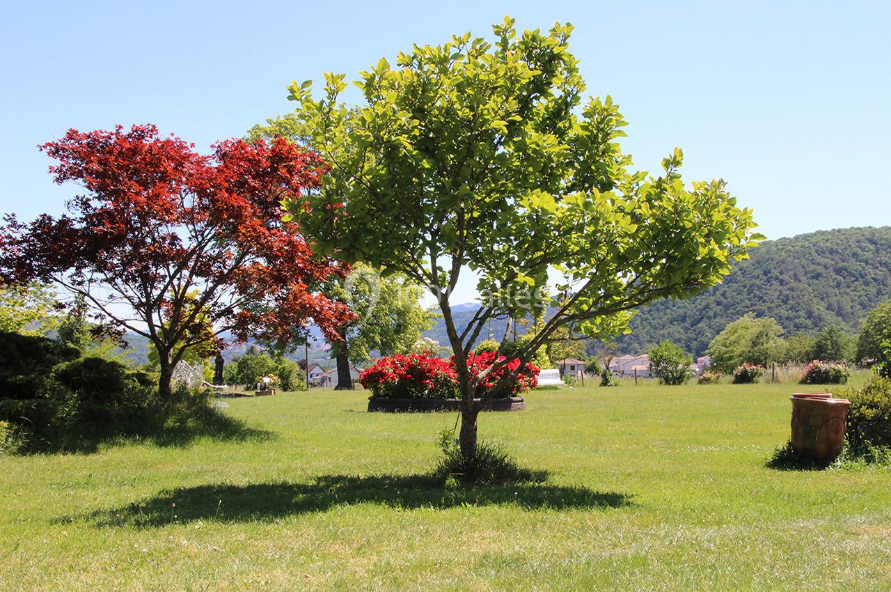 Arbres colorés et pelouse verdoyante sous un ciel bleu, avec des collines et des maisons en arrière-plan.