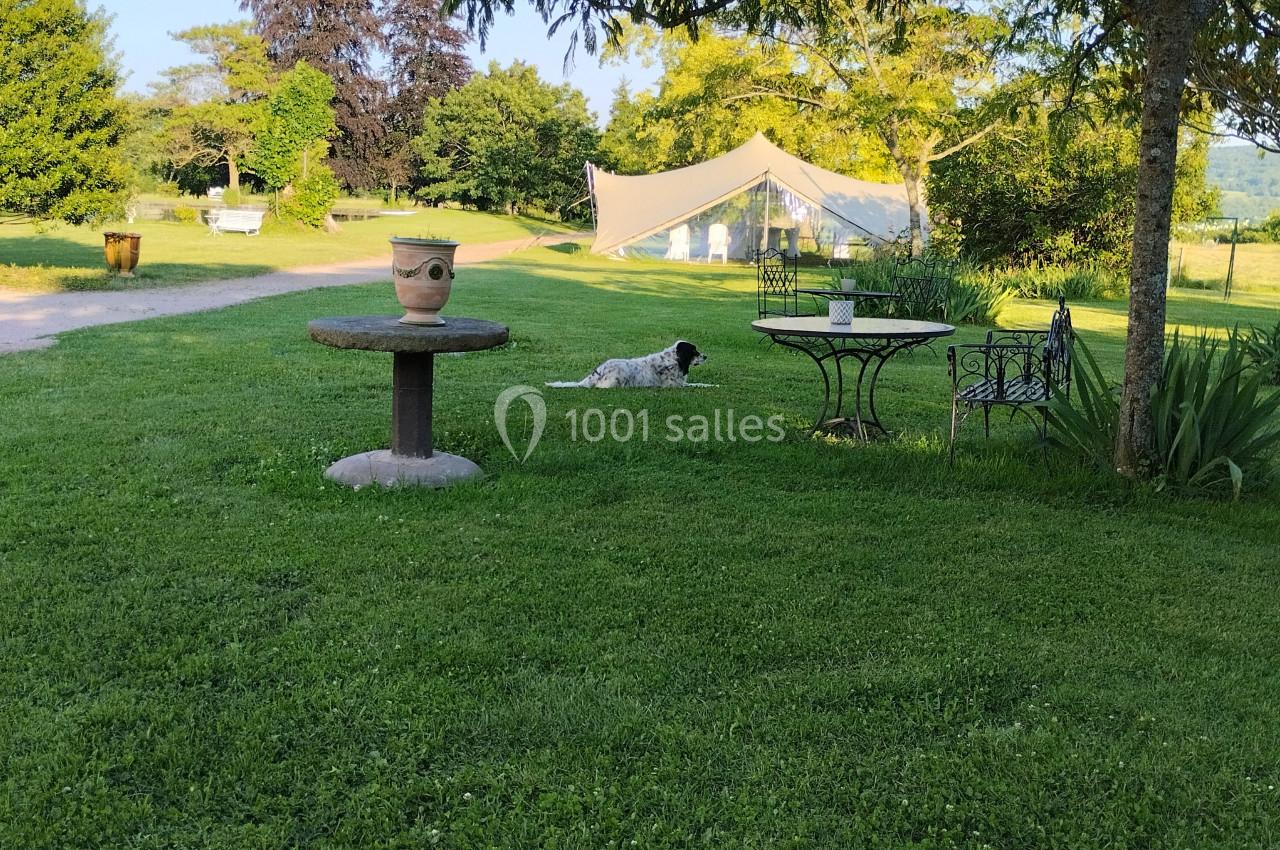 Chien allongé sur une pelouse verdoyante près d'une table en fer forgé, avec des arbres et une tente en arrière-plan.