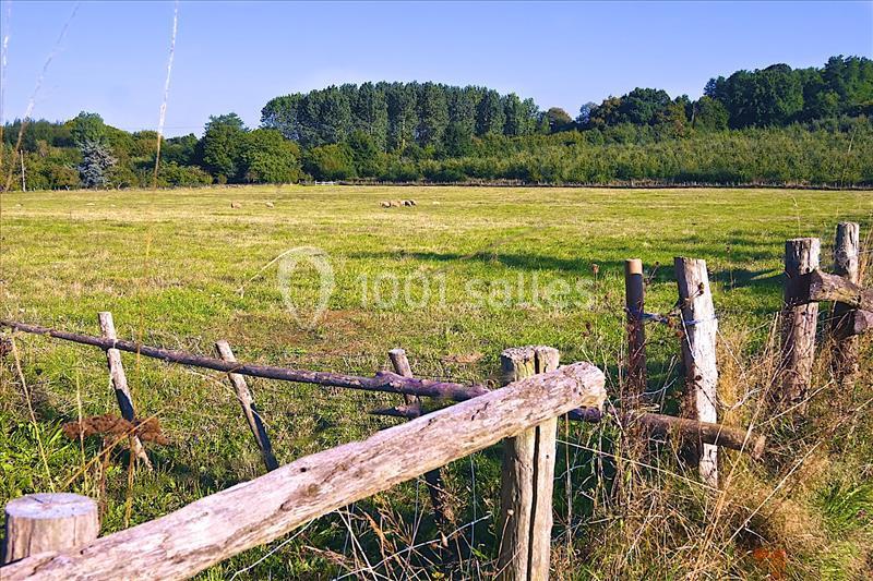 Les Bussonnières - galerie - photo 15