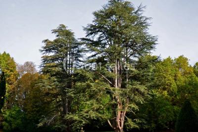 Miniature Location salle Saint-Laurent-les-Églises (Haute-Vienne) - Château de Walmath #19 Location salle Saint-Laurent-les-Églises (Haute-Vienne) - Château de Walmath #36