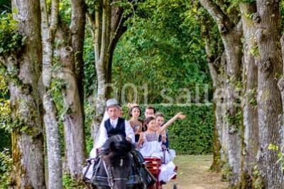Miniature Location salle Angerville (Essonne) - Château De Dommerville #20 Location salle Angerville (Essonne) - Château De Dommerville #20