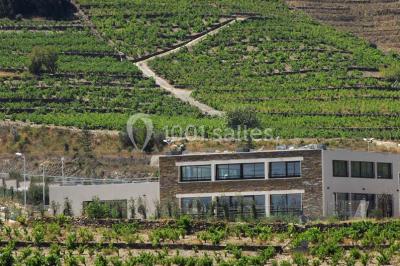 Miniature Location salle Collioure (Pyrénées-Orientales) - Les Terrasses De Collioure #12 Location salle Collioure (Pyrénées-Orientales) - Les Terrasses De Collioure #12