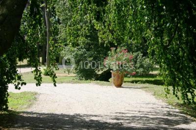 Château d'Anjou - photo 2