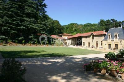 Château d'Anjou - photo 5