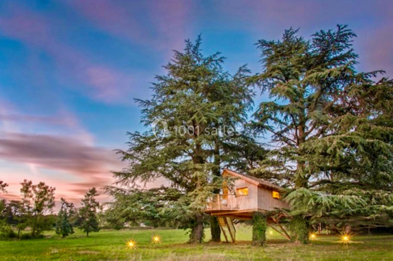 Cabane en bois perchée dans des arbres au milieu d'une prairie, éclairée au crépuscule avec un ciel coloré en arrière-plan.