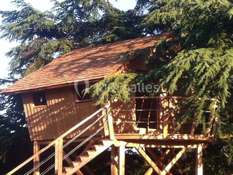 Domaine des Grands Cèdres - galerie - photo 5