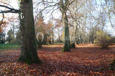 Miniature Location salle Soisy-sur-École (Essonne) - Domaine du Moulin des Noues #15 Disposition de chaises blanches en extérieur autour d'une allée menant à une petite scène sous une tente blanche.