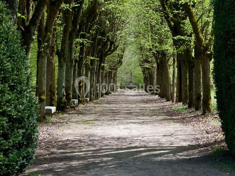 Location salle Bouray-sur-Juine (Essonne) - Domaine De Frémigny #22