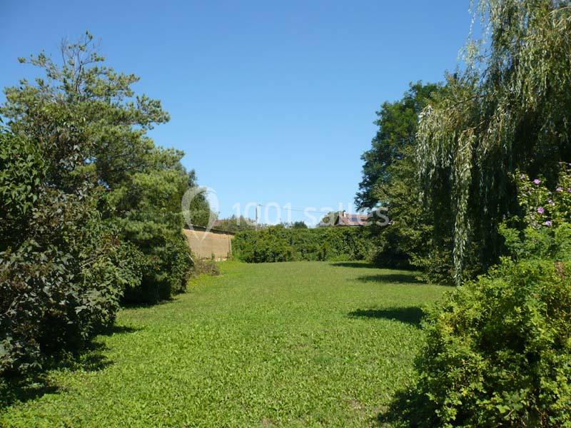 Une pelouse verte entourée d'arbres et de buissons sous un ciel bleu dégagé.