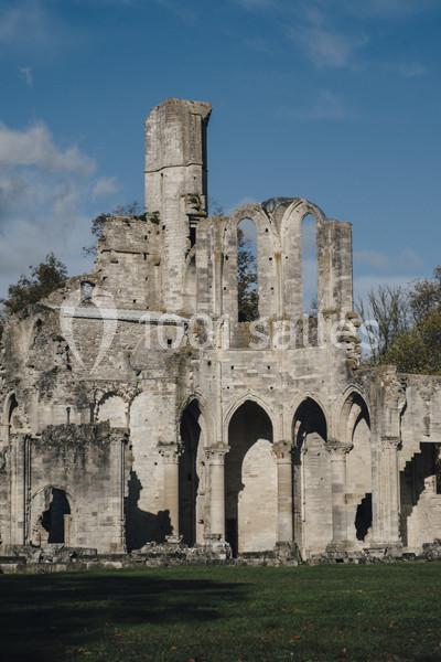 Domaine de Chaalis - galerie - photo 23