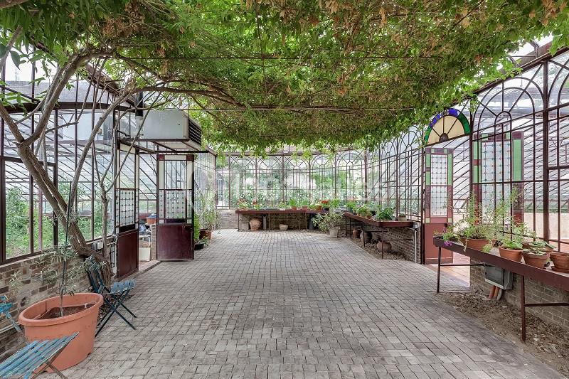 Serre lumineuse avec structure métallique, plantes en pots, sol en pavés et plafond couvert de feuillage.