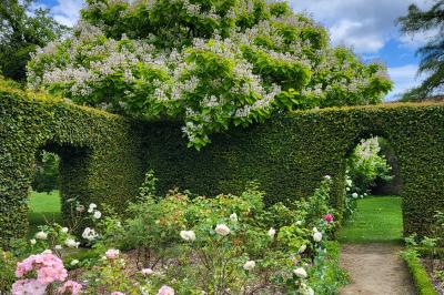 Miniature Location salle Verderonne (Oise) - Domaine de Verderonne #23 Serre illuminée au crépuscule, entourée de murs en pierre et d'arbres, avec une tour en arrière-plan.