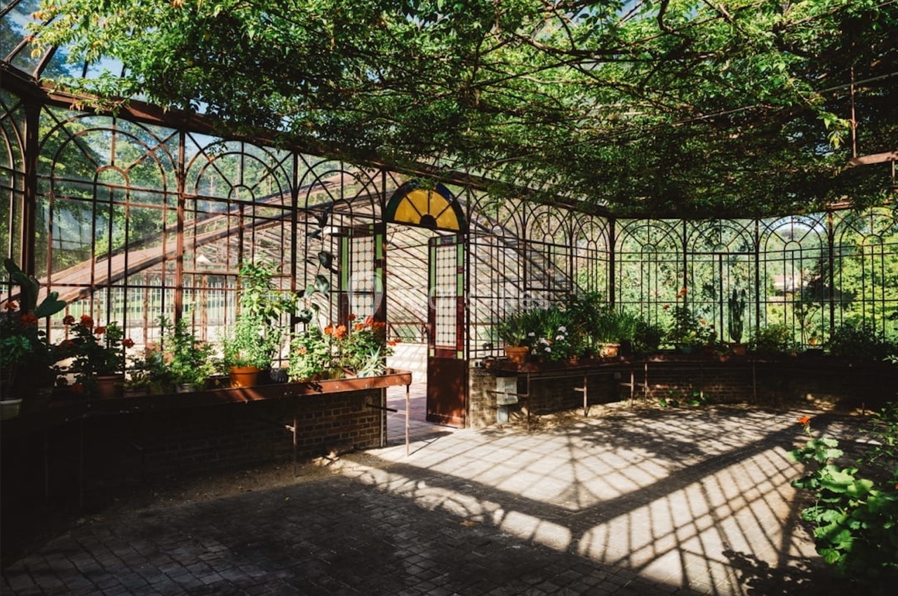 Serre lumineuse avec structure en fer forgé, plantes vertes et fleurs rouges sous un toit en verre.