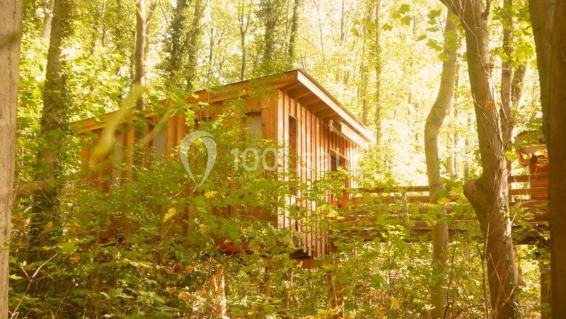 La Cabane de Lyon - Sainte Foy - galerie - photo 4