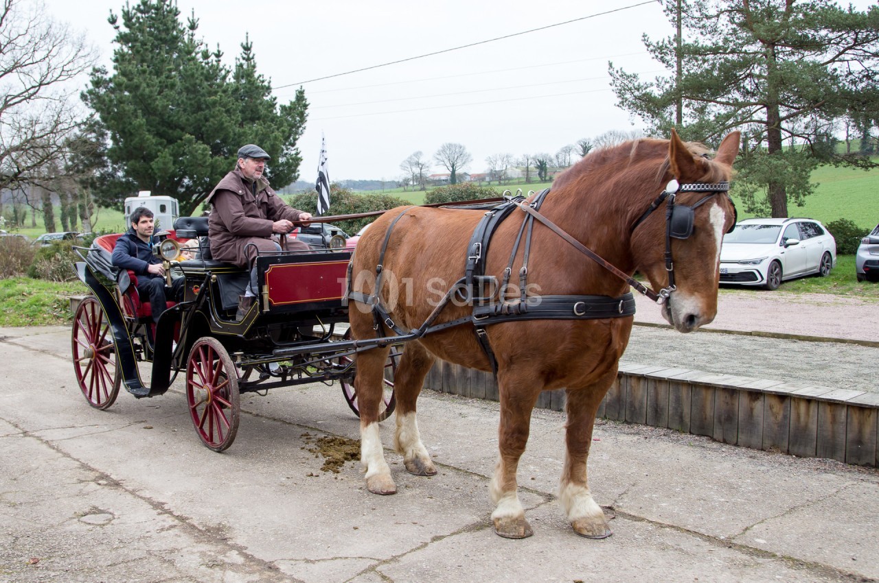 Un cheval de trait tire une calèche avec un conducteur et un passager, sur un chemin en milieu rural.