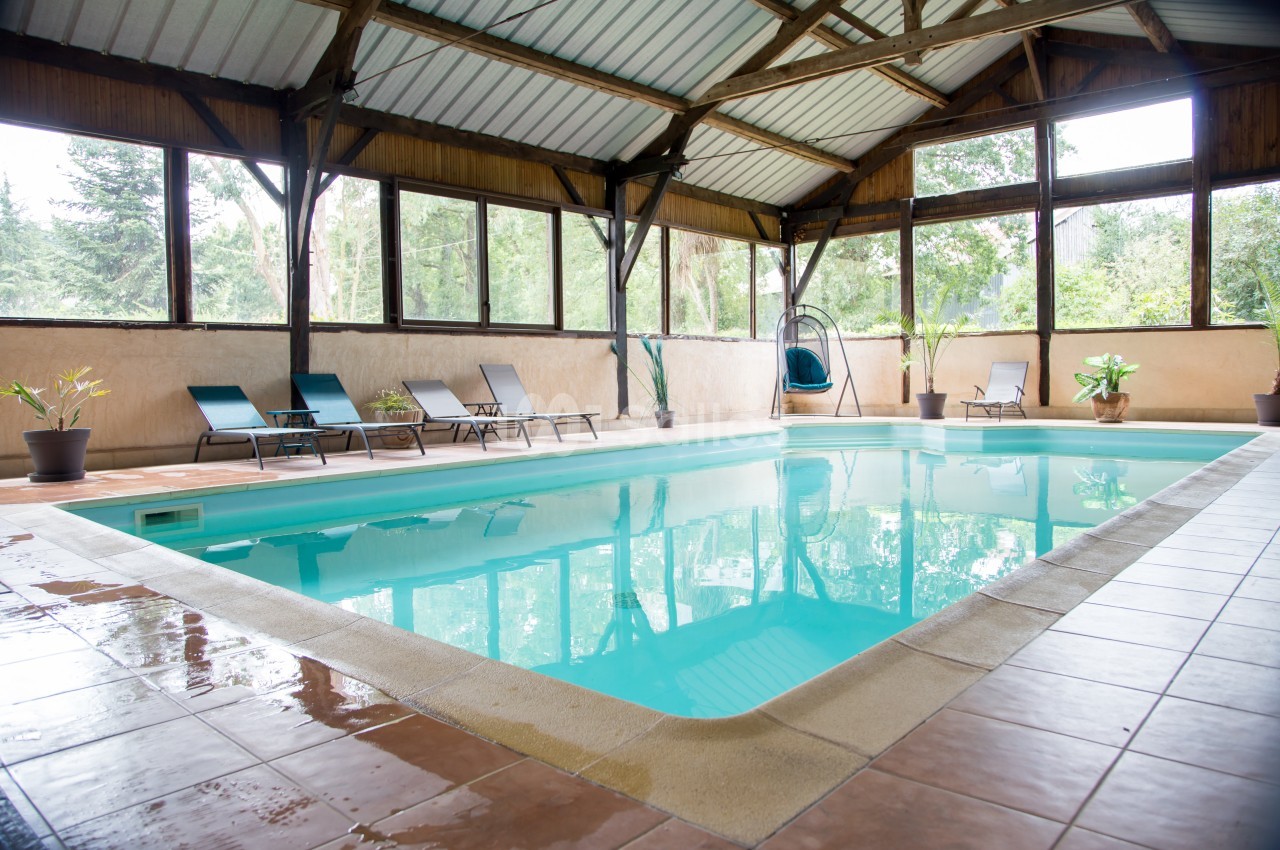Piscine intérieure avec chaises longues, entourée de baies vitrées offrant une vue sur la végétation extérieure.