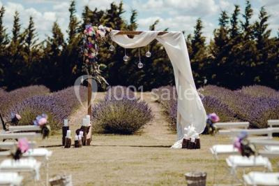 La Bastide Des Barattes - photo 4