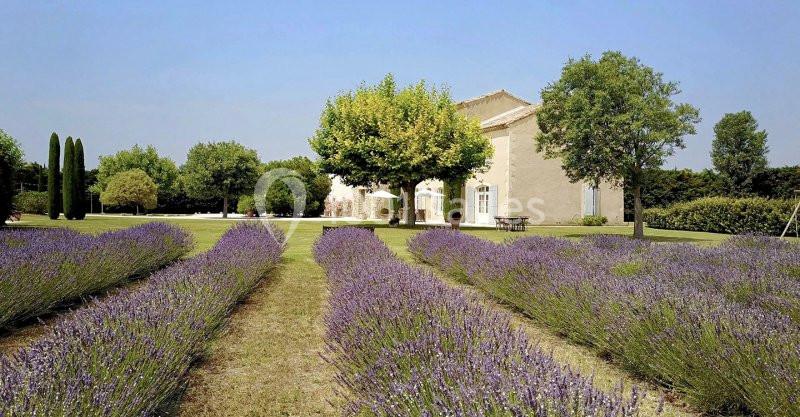 La Bastide Des Barattes - galerie - photo 3