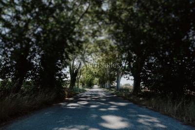 Domaine Belric - photo 2