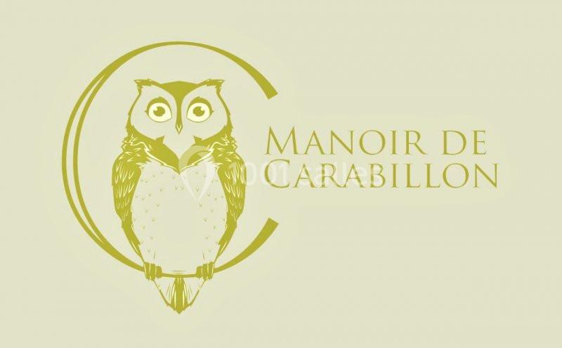 Manoir De Carabillon - galerie - photo 23