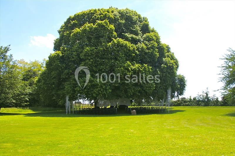 Manoir De Carabillon - galerie - photo 15