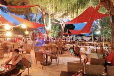 Location salle Saint-Cyprien (Pyrénées-Orientales) - Côté Jardin #18