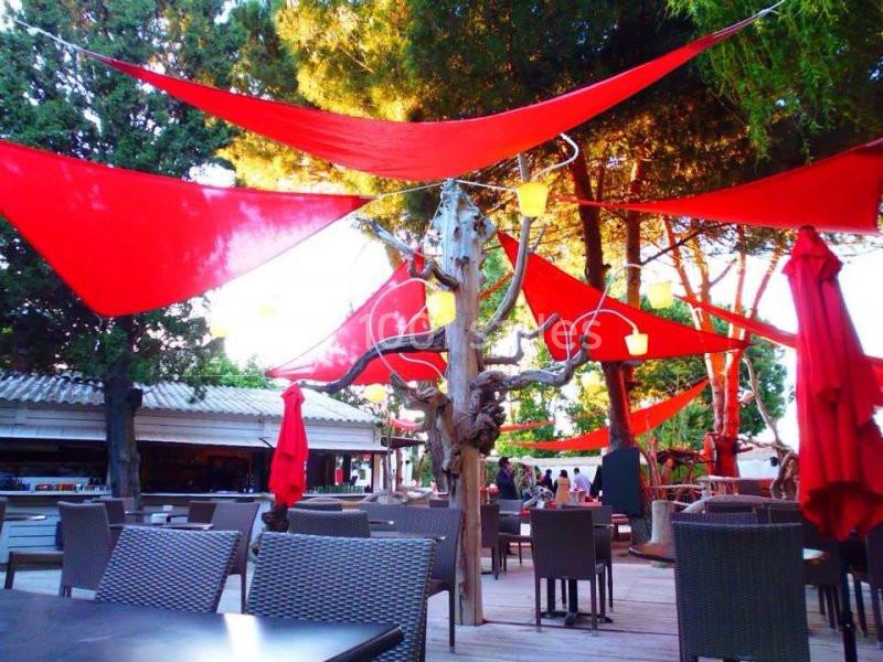 Location salle Saint-Cyprien (Pyrénées-Orientales) - Côté Jardin #15