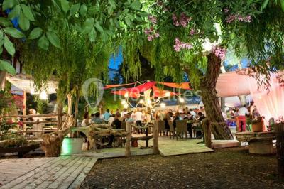 Location salle Saint-Cyprien (Pyrénées-Orientales) - Côté Jardin #18