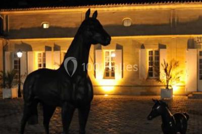 Château La Couspaude - photo 5