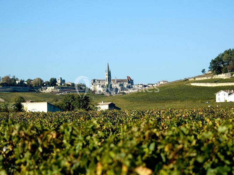 Château La Couspaude - galerie - photo 8