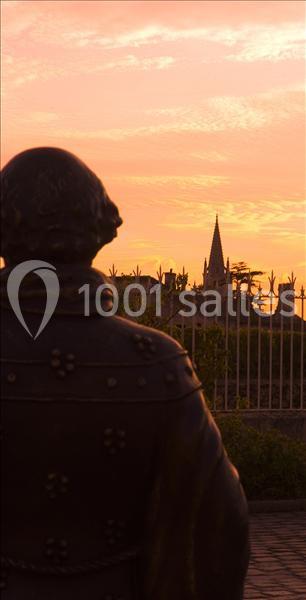 Château La Couspaude - galerie - photo 6