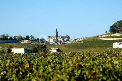 Château La Couspaude - photo 4