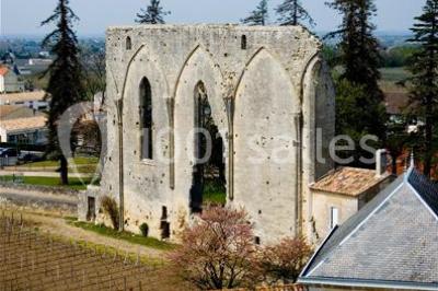 Château La Couspaude - photo 5