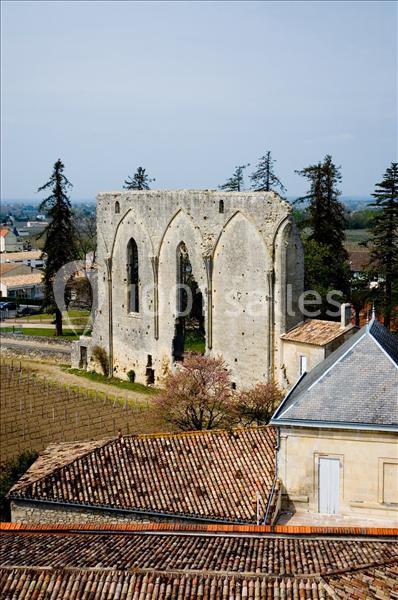 Château La Couspaude - galerie - photo 14