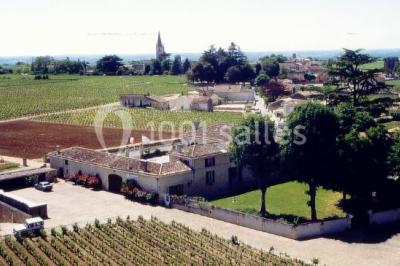 Château La Couspaude - photo 2