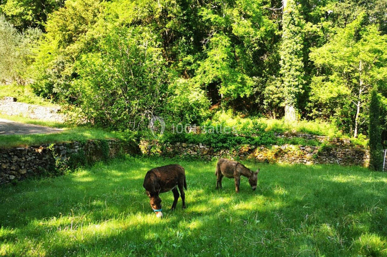 Montrieux Le Hameau - galerie - photo 8