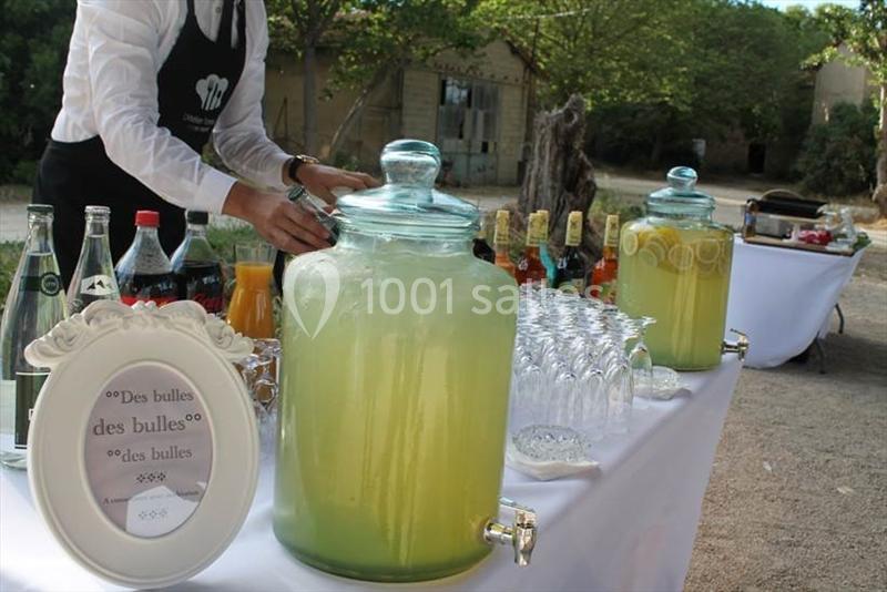 Domaine De Beauvezet - galerie - photo 12