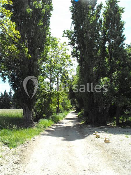 Domaine De Beauvezet - galerie - photo 15