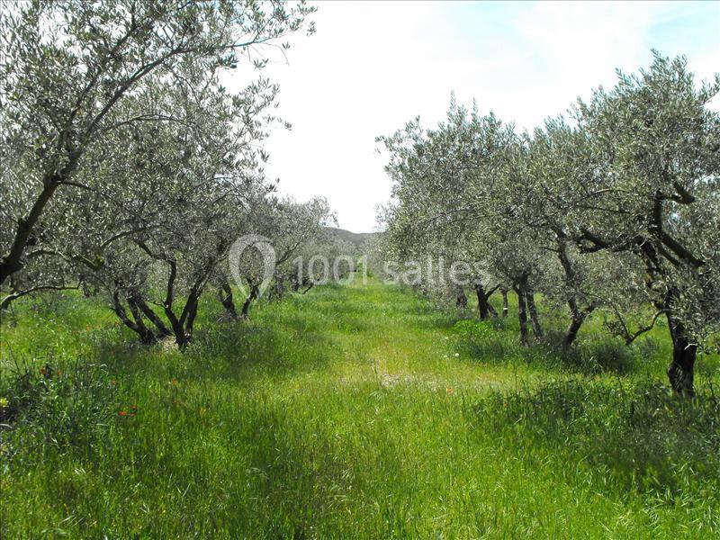 Domaine De Beauvezet - galerie - photo 17
