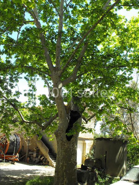 Domaine De Beauvezet - galerie - photo 19