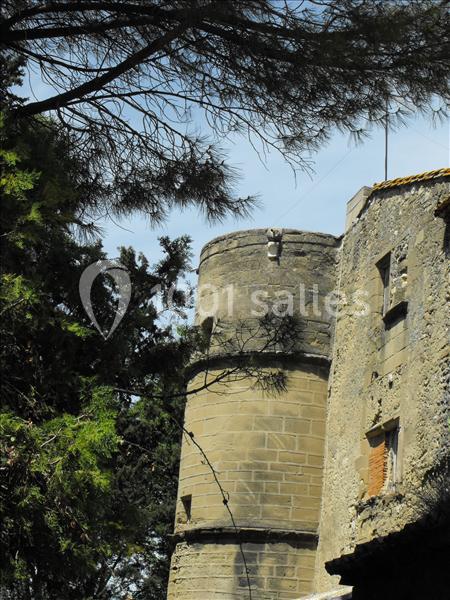 Domaine De Beauvezet - galerie - photo 20