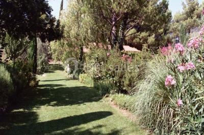 Villa Quelude - photo 4