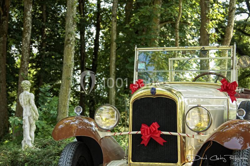 Location salle Trouhans (Côte-d'Or) - Château De Trouhans #16