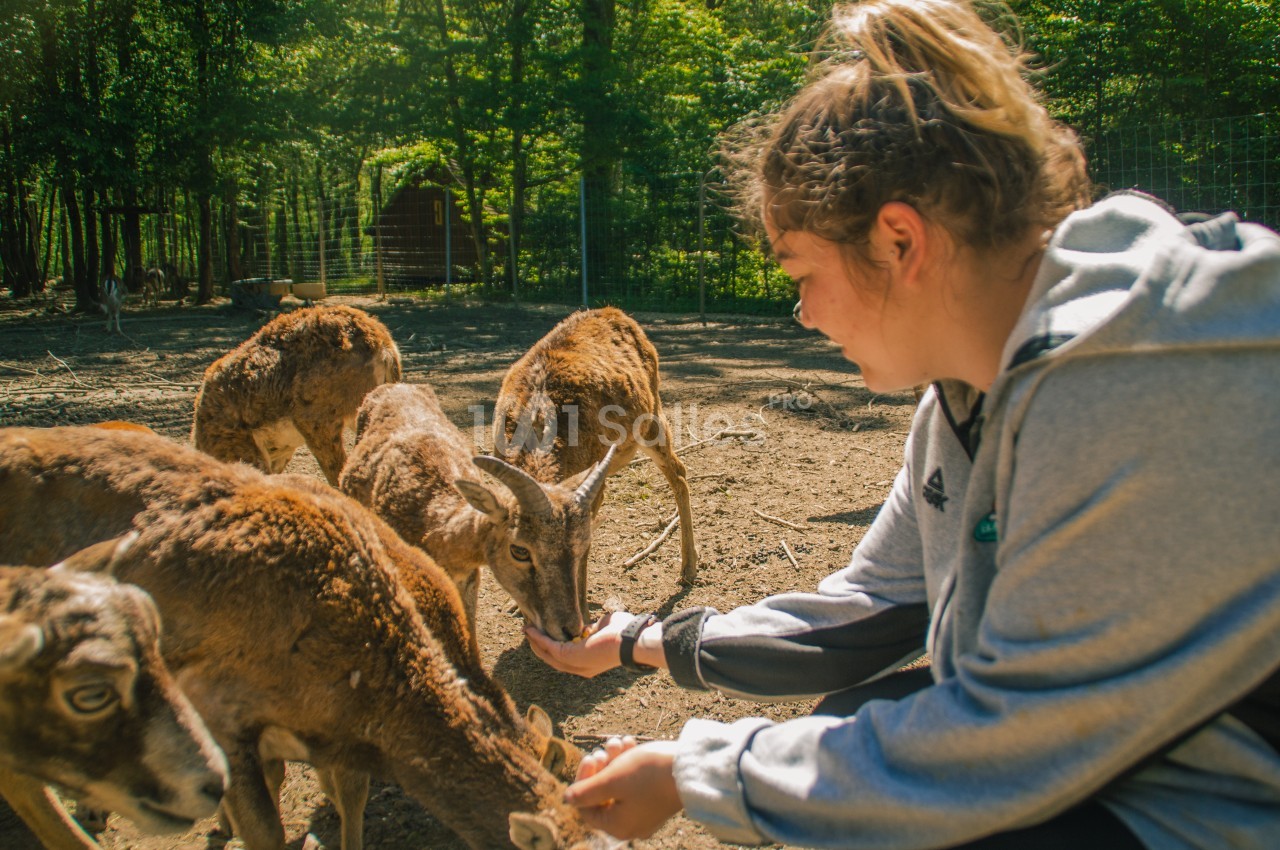 Visite animalière Domaine de la Dombes Ain