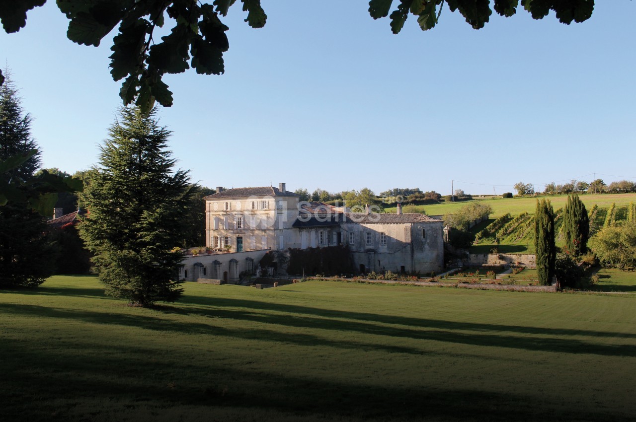 Abbaye de Fontdouce - galerie - photo 8